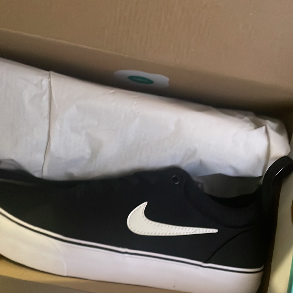 Nike SB Chron 2 Canvas